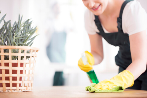 Recurring House Cleaning Services